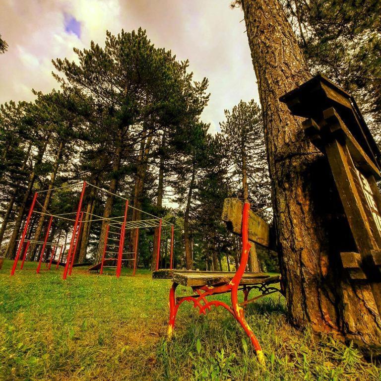 Brvnare Park Borova Villa Zlatibor Exterior photo